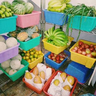 VerdurasFresca4's profile picture. Cantante Profesional,comerciante