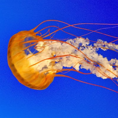 rumpledumple123's profile picture. 