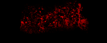 I am front-man and creator for UK Death Metal band Deadman's Blood - the UK's filthiest blood splattered, offal encrusted band who play in the style of the late