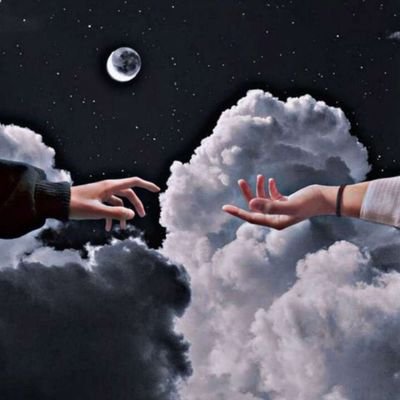 mmd13919688's profile picture. 