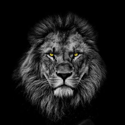Cathchad45's profile picture. Christ is Lord