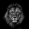 Cathchad45's profile picture. Christ is Lord
