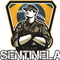 Sentinela🇧🇷(@PROFEFQUEIROZ) 's Twitter Profile Photo