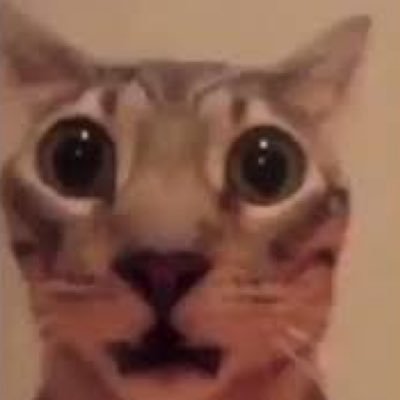 waahhgoooobbhhn's profile picture. 🦐