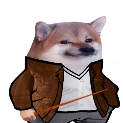 bernardas's profile picture. 