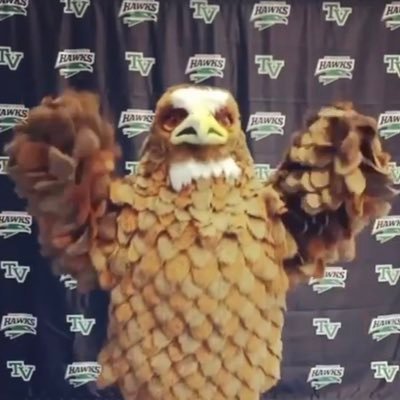 tvhshawksstuco's profile picture. Official Twitter of the TVHS Student Council 🤍💚🖤 #tvhshawks #hawknation #gohawks