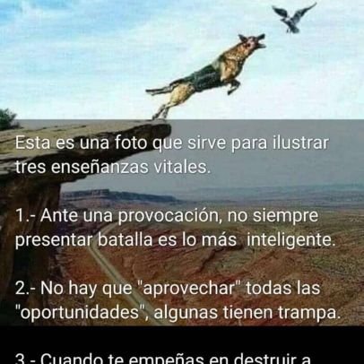 Medico Veterinario CHAVISTA !!!!!!
Servidora Pública Comunicadora Social.