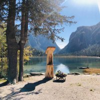 Patrick (@dorsia64) 's Twitter Profile Photo