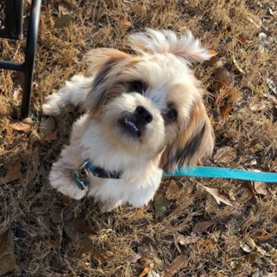 BeckyYourman's profile picture. 