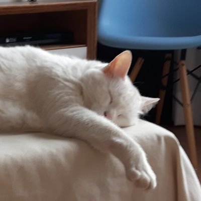 bibiancamel's profile picture. 