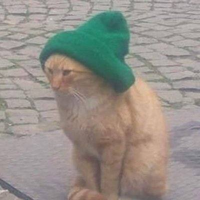 Bnjmin__'s profile picture. 