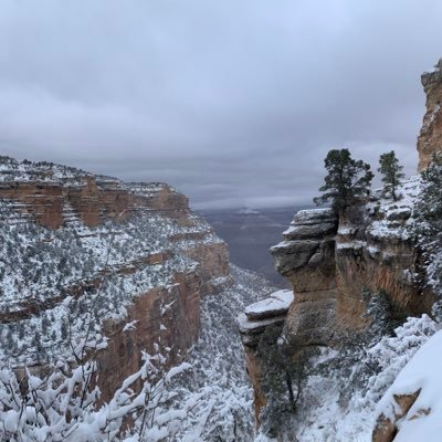 14_acres_'s profile picture. Proverbs 26:4-5 Answer not a fool according to his folly, lest you be like him yourself. Answer a fool according to his folly, lest he be wise in his own eyes.