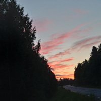 Daniel (@daniels27184341) 's Twitter Profile
