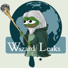 WizardLeaks Profile Picture