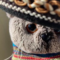 サヲイヱ (@sawoie) 's Twitter Profile Photo