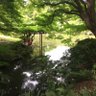 Jinrou_0925's profile picture. だって俺が二十歳だということは⸻あの人は三十二歳だ。