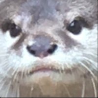 さとうのら (@djpsmtalpomw4gs) 's Twitter Profile Photo さとうのら (@djpsmtalpomw4gs) 's Twitter Profile Photo