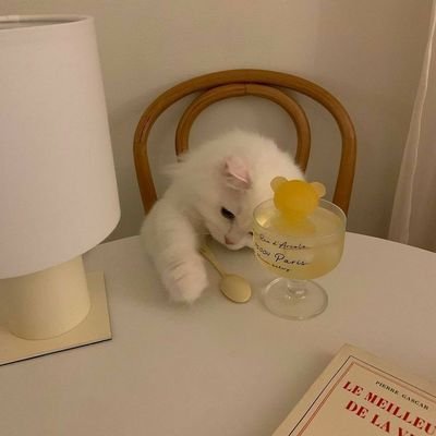 erll_ll's profile picture. 