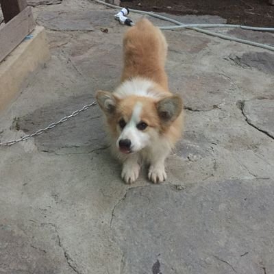 gimyunc37572095's profile picture. 