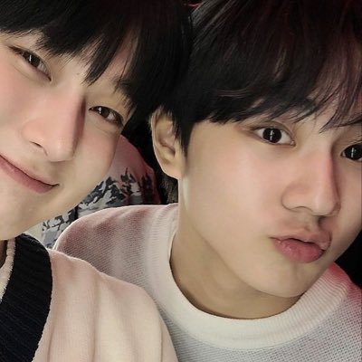 wdnskz's profile picture. translating fics & love jaywon