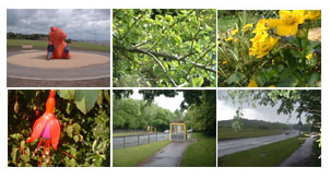 Riverside_Drive's profile picture. Anything relating to Riverside Drive area in South Liverpool
UPDATE: Sorry closed website down 2023