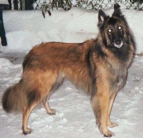 webfan21's profile picture. 