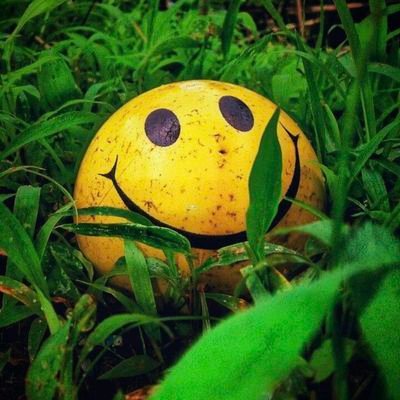 juniorf34016248's profile picture. No one is perfect