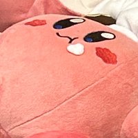 DM開かないでください乗っ取られました (@fn_rdr) Twitter profile photo