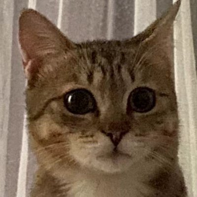 ye_yuelin's profile picture. 