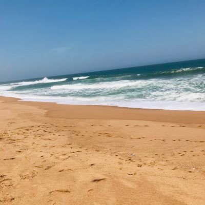 BongekaZungu2's profile picture. 