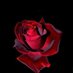 سو سان (@ansddgj) Twitter profile photo سو سان (@ansddgj) Twitter profile photo