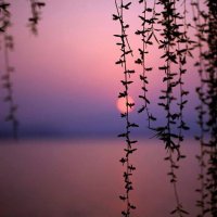 Shaktispace ॐ (@shaktispace) 's Twitter Profile