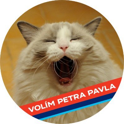 HucikMichal's profile picture. 