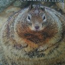 Lesley Barr - @Lesleybusybee - Twitter