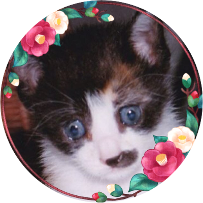 suaruki's profile picture. このままならよそに移るか…と、青空、スレッズ、タイッツー、全ておなじアカウント作りました。よかったらフォローしてください。
元気に見えるときが危ない。元気になったと思うときが危ない。メンタルは胃腸から崩れてゆく。
リツイート多、非表示推奨。
今ですか？ 草彅剛と片岡愛之助、タイムマシーン3号ですね。