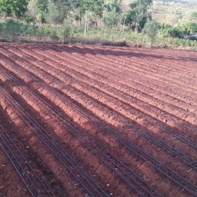 Dryland Agriculture Specialist & Consultant ,Environment Enthusiast plant trees and save the world || VEGETERIAN || ANIMAL WELFARE