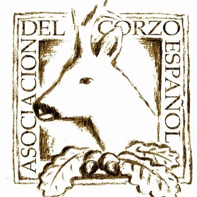 La Asociación del Corzo Español (ACE) tiene por objetivo fomentar la correcta gestión, caza y conservación del corzo.