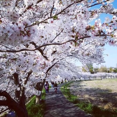 amazing26455's profile picture. 