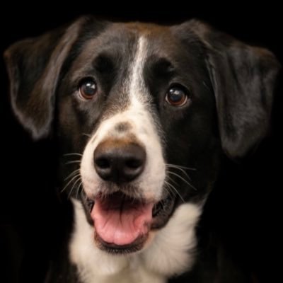 cgstudio175's profile picture. 