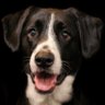 cgstudio175's profile picture. 