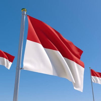 インドネシアを愛する日本人達が勝手にインドネシアの魅力を発信中🇮🇩面積は日本の5倍🇮🇩目指せフォロワー2.7億人(人口)#フォロバ100 🇮🇩 #DMでおもしろ情報募集中 #ブルネイ先輩に続きたい