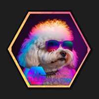 ⬣H ⬣O ⬣A ⬣ (@hexonair1960) 's Twitter Profile