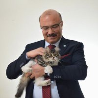 Kadir Ulusoy (@kadir_ulusoy42) Twitter profile photo