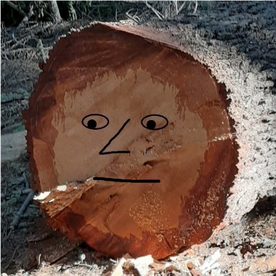 Forester Mike Profile