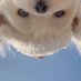 存存存存真ing (@h45978593) Twitter profile photo 存存存存真ing (@h45978593) Twitter profile photo