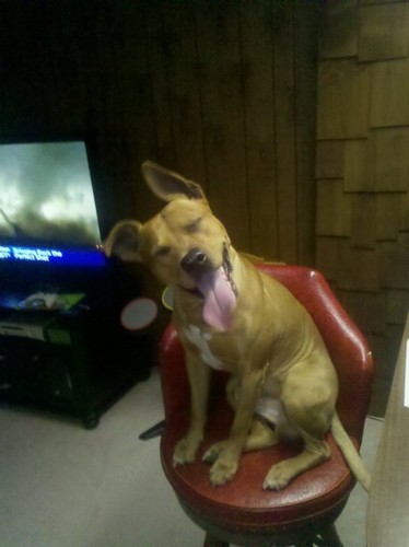 Sirchad90's profile picture. 