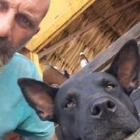 dağhan_i (@daghan_i) 's Twitter Profile