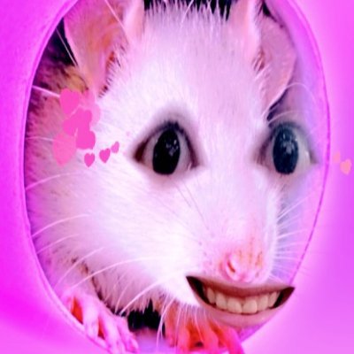 Rat306Plague Profile Picture