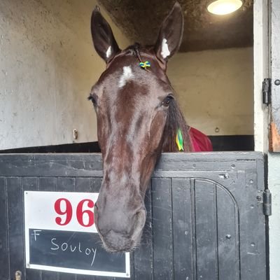 IDugrosprez's profile picture. 