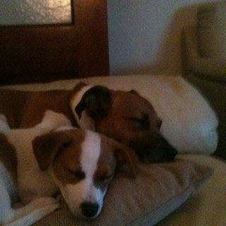 HumphriesJulie's profile picture. 